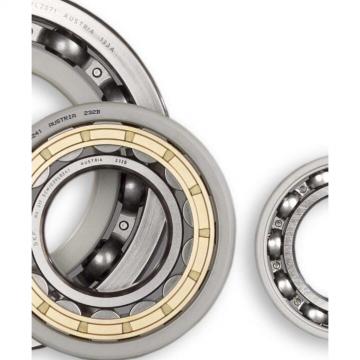 SKF insocoat NU 320 ECM/C3VL0241 Insocoat Hybrid Bearings